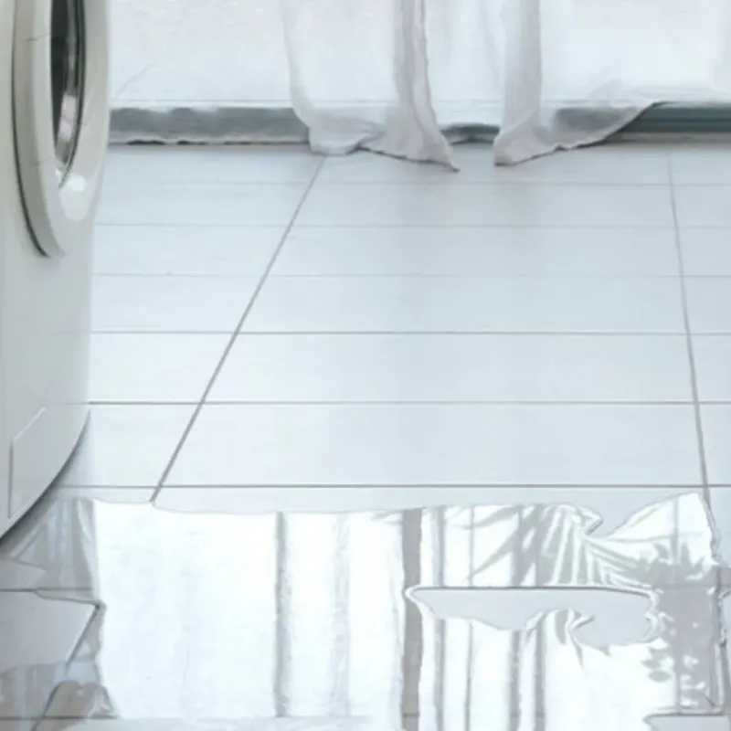 Appliance Leak Cleanup in Nantucket, MA